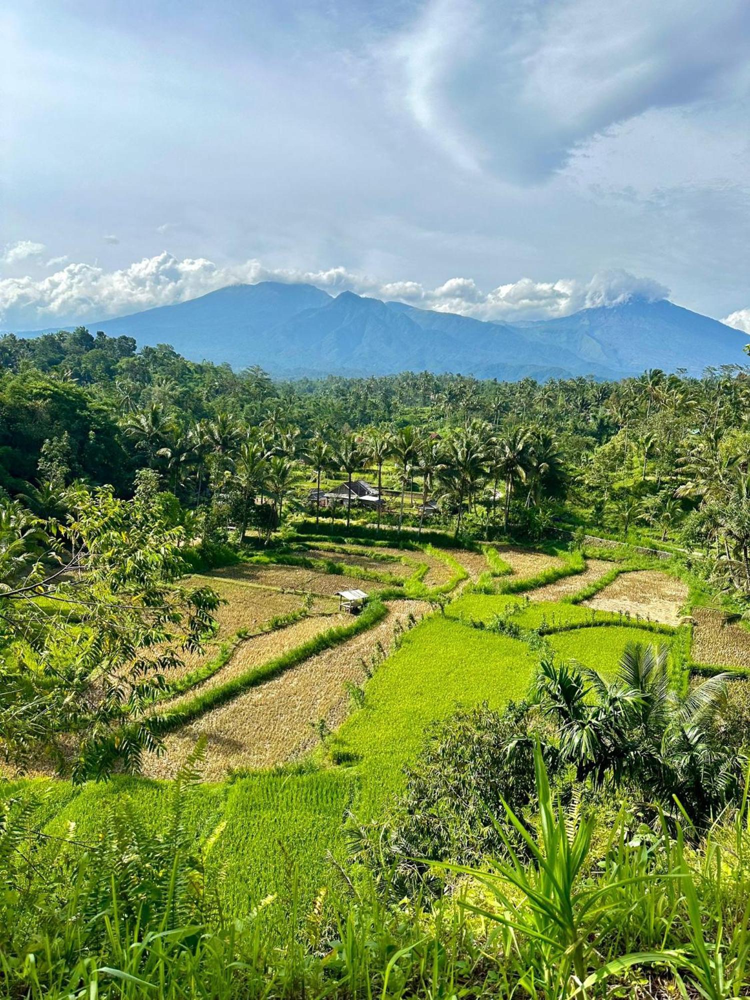 Girang Rinjani Bungalows Tetebatu Exterior foto